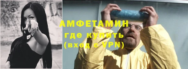 прущие грибы Осинники