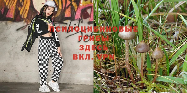 MDMA Алзамай