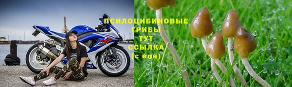 метамфетамин Алексин