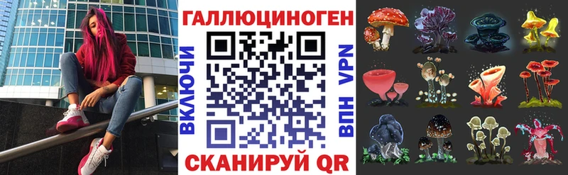 наркота  Сатка  Галлюциногенные грибы Psilocybe 