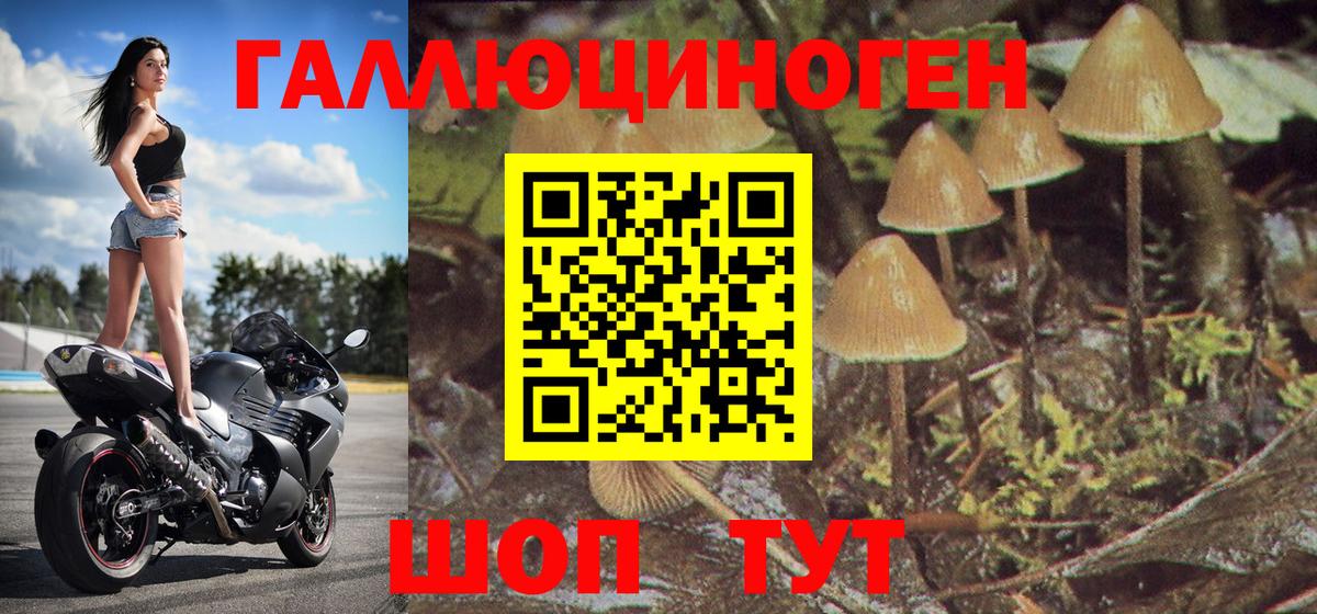 Галлюциногенные грибы прущие грибы Сатка